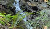 Tocht Stappen Lavaldens - Cabane de COMBOURSIERE - Photo 1