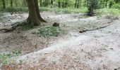 Trail On foot Wachtendonk - Wankumer Heide Rundweg A13 - Photo 1