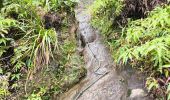 Excursión Senderismo Saint-Claude - Guadeloupe - Chute du Galion - La Citerne - Photo 8