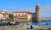 Trail Walking Argelès-sur-Mer - Argelès Collioure par la côte - Photo 5