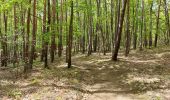 Trail Walking Châtel-Guyon - VALLEE DE SANS SOUCI - CHATEAU DE CHAZERON - Photo 2