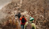 Tocht Stappen Parc Hosingen - Parcours à Hoscheid - Photo 3