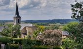 Tour Wandern Beauraing - Froidfontaine 010522 - Photo 3