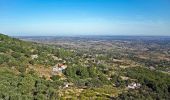 Tocht Te voet São Salvador da Aramenha - Percurso Pedestre de Marvão - Photo 10