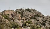 Trail Walking Roquebrune-sur-Argens - les 3 croix - Photo 8