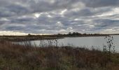 Trail Walking Cayeux-sur-Mer - lac de caouaisse . brighton . pointe de hourdel . lac de caouzisse   - Photo 2