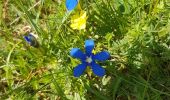 Trail Walking Roubion - PIED DU POMMIER - Photo 5