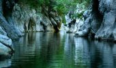 Percorso A piedi Laurino - Sentiero Grotta S. Elena - Grava di Vesalo - Photo 1