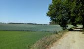 Tocht Stappen Court-Saint-Étienne - par le petit St. Jacques - Photo 1