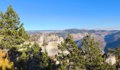 Tour Wandern Saint-Étienne-du-Valdonnez - Montmirat - Photo 8