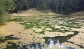 Trail Walking Crots - Boucle du lac de Lauzerot 12.8.23 - Photo 7