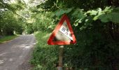 Tour Wandern Momignies - Macquenoise 170621 - Photo 16