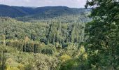 Randonnée Marche Bouillon - Rochehaut 310821 - Photo 1