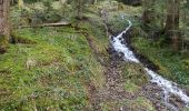 Excursión Senderismo Bussang - camping du champé cascade de l'ours - Photo 2