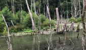 Trail Walking Esneux - Balade  des Castor  - Photo 10