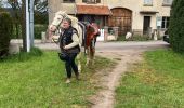 Tocht Paardrijden Senones - Equiplaine senones Christophe  - Photo 5