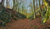 Excursión Senderismo Profondeville - Balade à Arbre - Profondeville - Photo 4