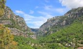 Percorso A piedi Le Bar-sur-Loup - Circuit du Paradis - Photo 8