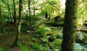 Trail Walking Engins - Les gorges du Bruyant - Photo 3