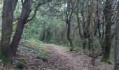 Tocht Stappen Montferrer - Montferrer . El Castel . Puig de Vilafort -  retour par la piste  - Photo 13