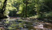 Randonnée Marche Saint-Chély-d'Aubrac - Compostelle / Chemin du Puy : de Aubrac à Bonneval - Photo 2