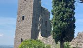 Randonnée Marche Bolsena - CR_Francigena_DL_48_Bolsena_Montefiascone_20230531 - Photo 16