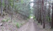 Tour Wandern Génissieux - F26380 Peyrins bois des Vignes - Photo 1