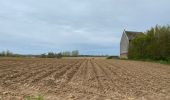 Tour Wandern Quévy - Quevy le petit 15 km  - Photo 4