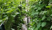 Randonnée Marche Sélestat - Sélestat le Grand Ried - balade dans la forêt de l'II - passerelles - Photo 9