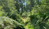 Excursión Senderismo Vieux-Moulin - en foret de Compiègne_38_07_2021_sur la Route Eugénie - Photo 8