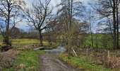 Trail Walking Lierneux - A la découverte de Lierneux 🥾 - Photo 5