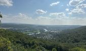 Tocht Stappen Bavans - Tour du fort du mont bar - Photo 2