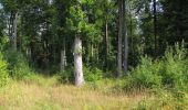 Randonnée Marche Dampleux - en forêt de Retz_82_sur les Routes de la Bruyère aux Loups et de la Chrétiennette - Photo 9