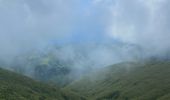 Tour Wandern L'Ajoupa-Bouillon - Montagne pelée  - Photo 5