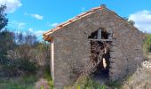 Trail Walking Leucate - leucate . franki plage . leucate - variante - Photo 20