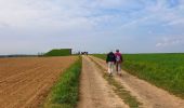 Trail Walking Doische - De Gochenée à Vodelée par la vallée de l'Hermeton - Photo 7