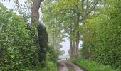 Trail Walking Le Mesnil-Simon - Le Mesnil Simon - Photo 18