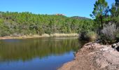 Excursión Senderismo Roquebrune-sur-Argens - La Bouverie - Bayonne - La Forteresse - Col Pierre du Coucou - Forêt de Raphèle - Photo 11