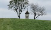 Percorso Marcia Menthonnex-en-Bornes - Tour du plateau des Bornes  - Photo 7