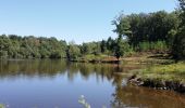 Tour Wandern Cussac - Cussac forêt de cromieres  - Photo 2