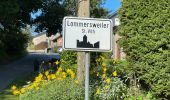 Tocht Stappen Sankt Vith - Lommersweiler version longue 2023 - Photo 1