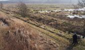 Percorso A piedi Eldingen - Südheide 'Kühe in Halbtrauer' W21k (kurze Tour) - Photo 1