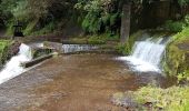 Tour Wandern São Vicente - Levada da Faja do Rodrigues (Rother n°32) - Photo 9