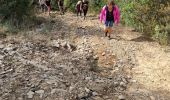 Excursión Senderismo Les Arcs-sur-Argens - z cabredor 19-10-21 - Photo 2