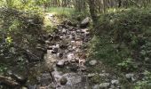 Randonnée Marche Vallouise-Pelvoux - Cascade de la Pisse et pont des places - Photo 16