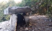 Randonnée Marche Saint-Remèze - 2020-09-14 : circuit des gorges de l’Ardèche  et dolmen de chanet - Photo 2