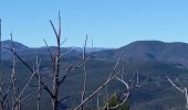 Trail Walking Anduze - Anduze - Photo 5