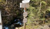 Trail Walking Malmedy - Xhoffray 230421 - Photo 2