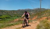 Trail Mountain bike Tremp - Tremp 30,5km - Photo 14