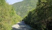 Tocht Stappen Les Houches - J7 - Les Houches > Chamonix par le Chemin des Villages - Photo 4